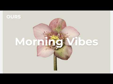 Morning Vibes 🌸 Chill House Music for Focus, Work & Gentle Energy