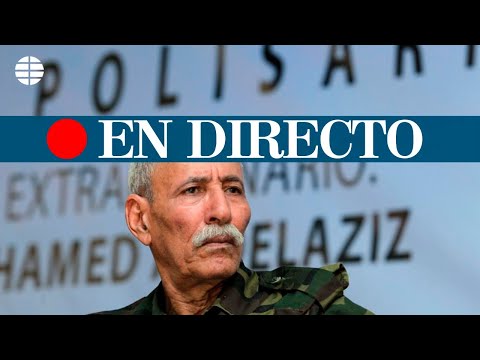 DIRECTO TRIBUNAL SUPERIOR | El abogado del líder del Frente Polisario atiende a los medios