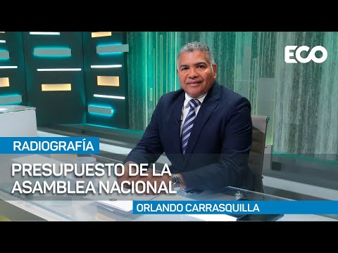 Como diputado nuestro trabajo aparte de ser legislativo es ser fiscalizador | #Radiografía