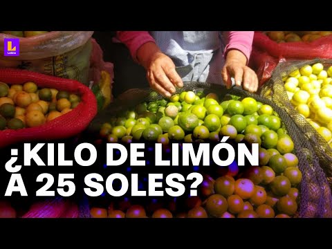 Kilo de limón podría llegar a 25 soles: Recomiendan exportación temporal para evitar subida