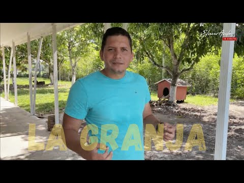 Historias de la Granja.