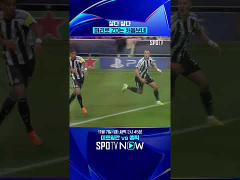 물리 엔진 고장 난 뉴캐슬 