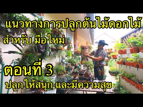 แนะแนวทาง-การปลูกต้นไม้-ดอกไม้ แนะแนวทาง-การปลูกต้นไม้-ดอกไม้