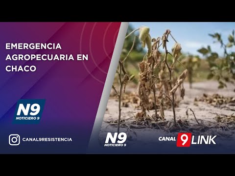 EMERGENCIA AGROPECUARIA EN CHACO - NOTICIERO 9