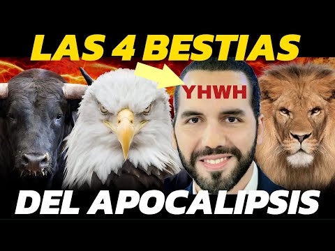 EL MISTERIO DE LOS 4 SERES VIVIENTES DEL APOCALIPSIS