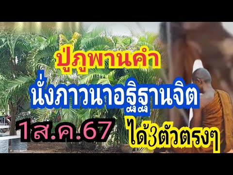 ปูภูพานคำย้ำเลขนั่งภาวนา3ตัวตร