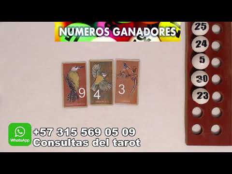 Numeros para la suerte y lectura del tarot