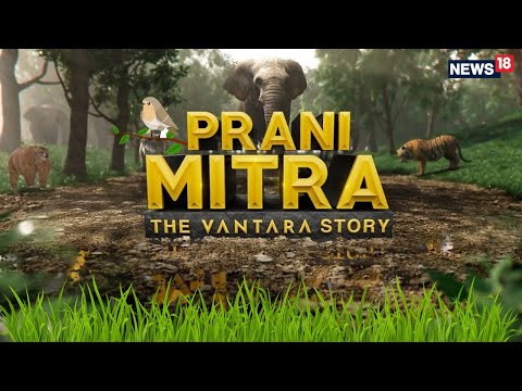 The Extraordinary Story Of Vantara: World’s Largest Rescue Operations for Wildlife | Anant Ambani