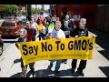 GMOs are Safe...Really?!