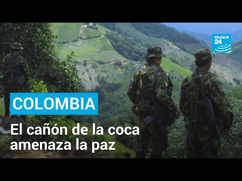 El cañón de la coca en Colombia: el territorio rebelde que amenaza la paz • FRANCE 24 Español