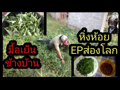 ผักข้างบ้านมื้อเย็นแสนสุขหิ