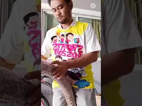 เตรียมส่งฮูล่าฮูป-พันฟิล์มด้วย เตรียมส่งฮูล่าฮูป-พันฟิล์มด้วย