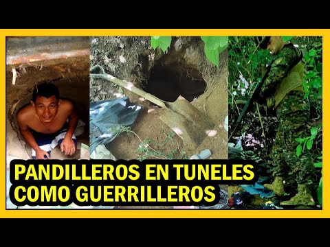 Faes desmantela campamento con túneles en Chalchuapa | Ley Crecer Juntos aprobada