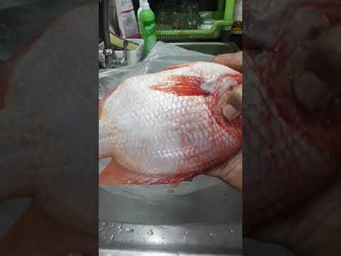 ขอดเกล็ดปลาด้วยที่ปอกผลไม้-นาย ขอดเกล็ดปลาด้วยที่ปอกผลไม้-นาย