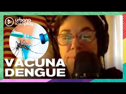La vacuna contra el dengue llegó a la Argentina: se adquirieron más de 300 mil dosis #DeAcáEnMás