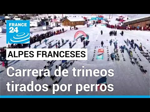 Trineos tirados por perros, una particular carrera en los Alpes franceses • FRANCE 24 Español