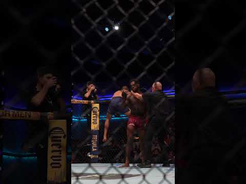 15초 만에 KO, 와!
