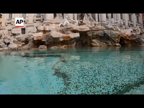 What happens to the millions of coins thrown into Rome's Trevi Fountain?