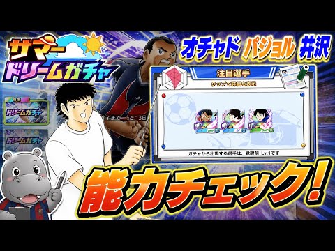 サマードリームガチャ、パジョル、オチャド、井沢能力雑感!