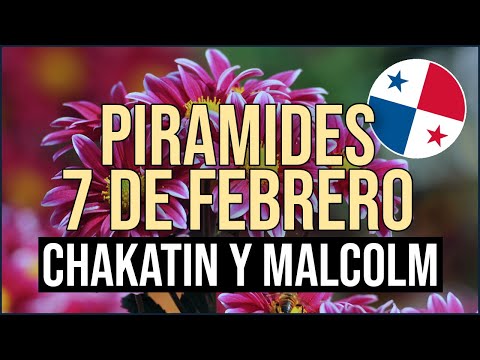 Pirámide Lotería de Panamá Miércoles 7 de Febrero 2024  Pirámide de Chakatin y Malcolm Ramos