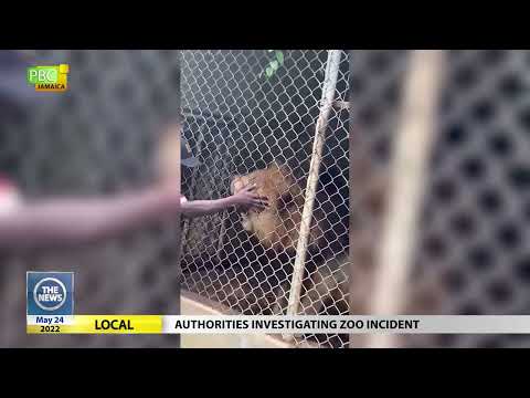 Authorities investigating zoo incident