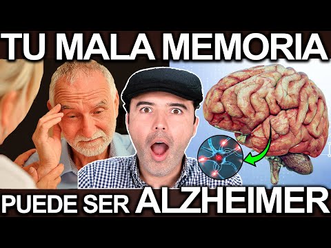 SE TE OLVIDAN LAS COSAS? PUEDE SER ALZHEIMER! - Etapas De Mala Memoria Que Indican Alzheimers