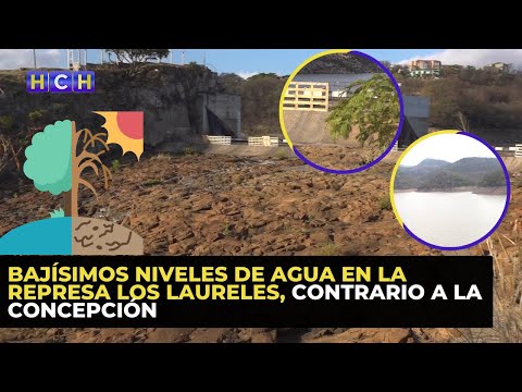 Bajísimos niveles de agua en la represa Los Laureles, contrario a La Concepción