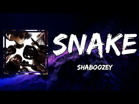 Shaboozey - Snake (Lyrics)