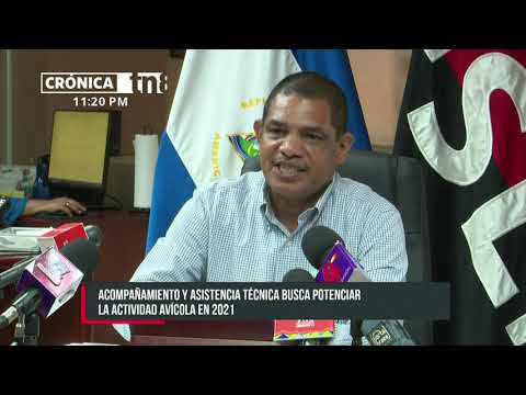Gobierno de Nicaragua fortalecerá la producción avícola