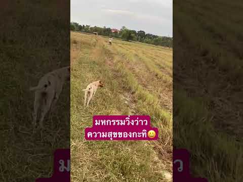 ความสุขที่หาที่ใหนไม่ได้ที่นี