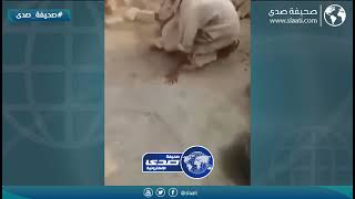 ثور ينتقم من مسن باكستاني