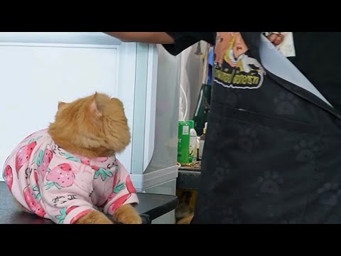 น้องขนมหวานมาอาบน้ำด้วยเครื่อง