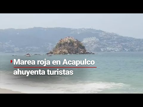 ¡Alerta en Acapulco por Marea Rojo! Provoca la preocupación de los turistas y los ahuyenta.
