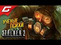   !  STALKER 2 Heart of Chornobyl   8