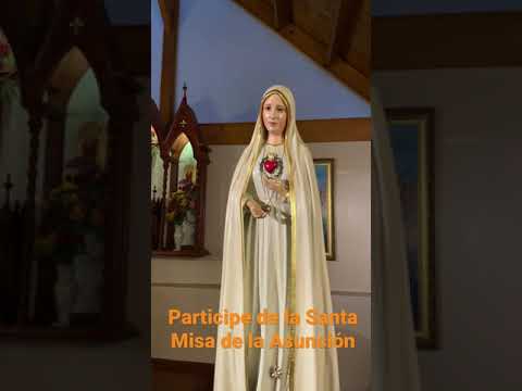 En breve…. Santa Misa de la Asunción