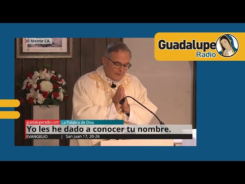 Evangelio de hoy 16/mayo/2024