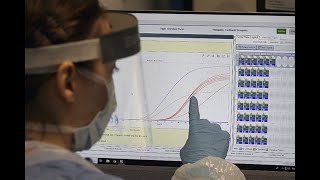 Bogotá, Cali y Cartagena no abrirán nuevos sectores económicos por aumento de casos de coronavirus