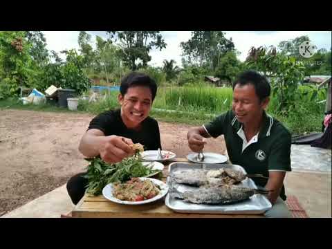 ปิ้งปลานิล-ตำบักหุ่งแซ่บๆยามเท ปิ้งปลานิล-ตำบักหุ่งแซ่บๆยามเท