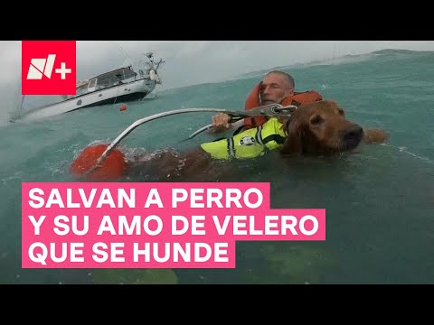 Salvan a hombre y a su perro de velero que se hunde por huracán Helene - N+