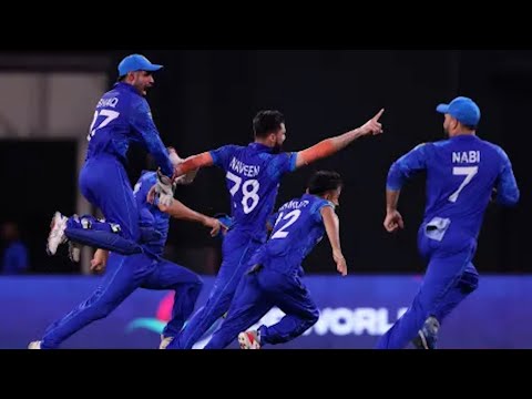 ICC Men's T20 World Cup: Afghanistan Into Semis