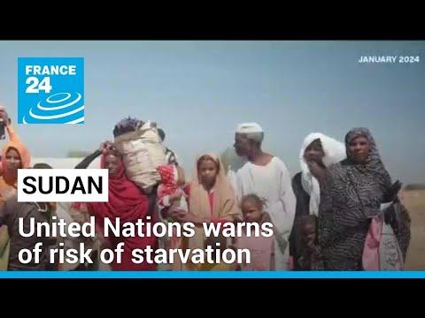 Sudan: United Nations warns of risk of starvation in Darfur • FRANCE 24 English