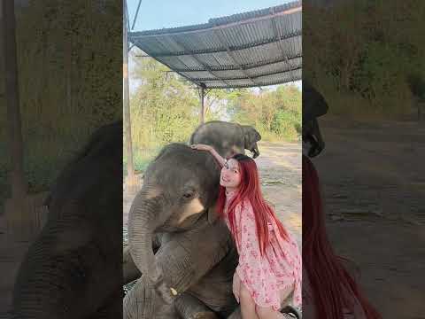 แม่ยุ้ยสุดสวยกับน้องพูลทรัพย์ส