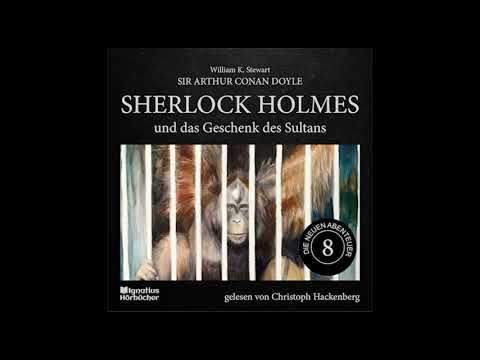 Christoph Hackenberg liest Sherlock Holmes - Die neuen Abenteuer | 8: Das Geschenk des Sultans