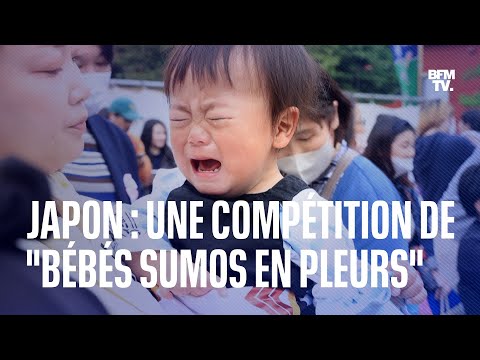 Au Japon, la compétition des bébés sumos en pleurs fait son retour