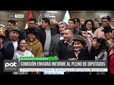 Elecciones primarias