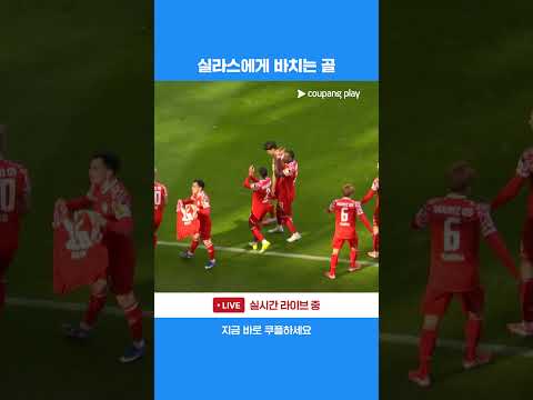 부상당한 동료에게 바치는 세리머니 l 분데스리가 l베르더 브레멘 vs 마인츠