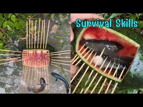 SurvivalSkills:SIMPLESimple