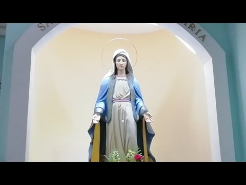 Santo Rosario PSJA - Miércoles 18 De Mayo De 2022