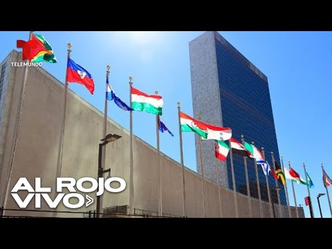 Organización benéfica de la ONU tiene $10 mil millones de dólares y nadie sabe de ella
