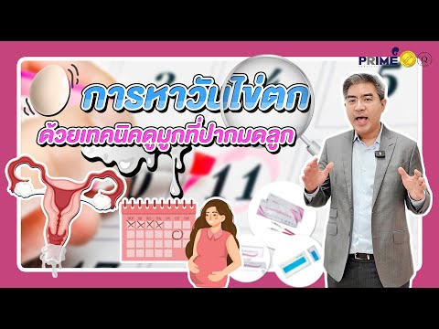 หาวันไข่ตกยังไง|เทคนิคหาวันไ